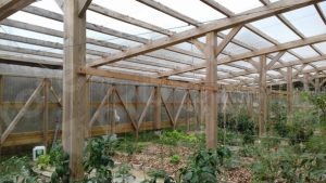 Lee más sobre el artículo Estructura ligera para Invernadero